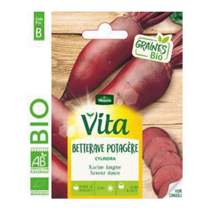 BETTERAVE CYLINDRA BIO