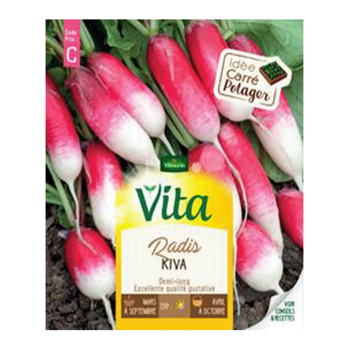 RADIS LONG KIVA