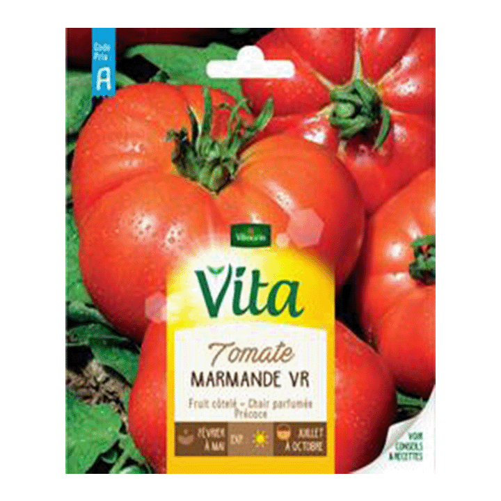 TOMATE MARMANDE VR