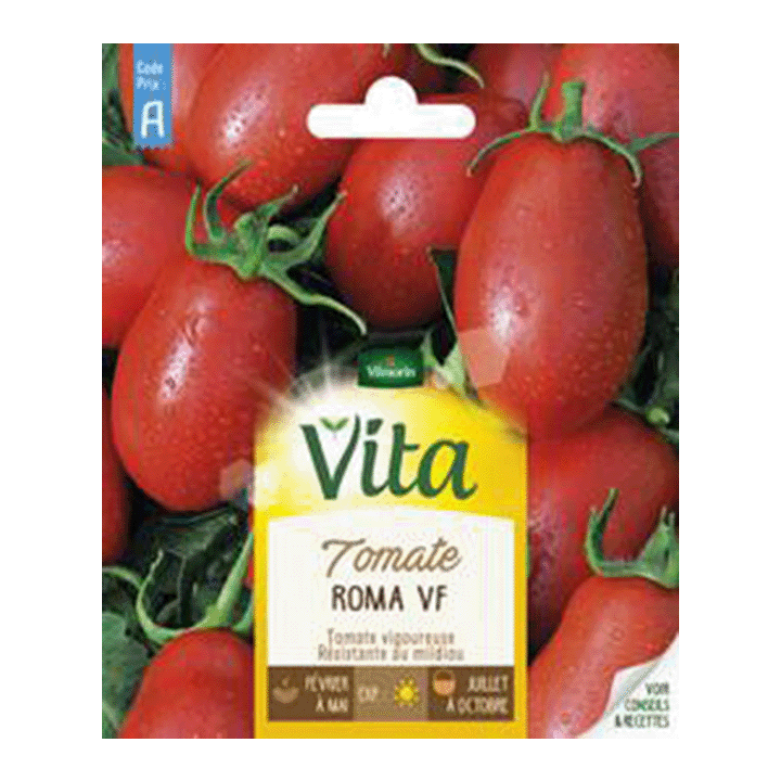 TOMATE ROMA VF