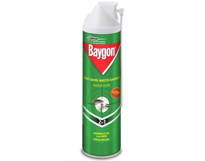 Baygon® mousse anti-rampants
