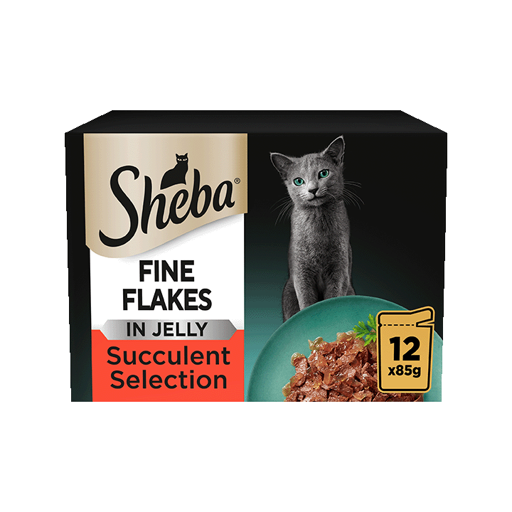 Fine Flakes - Succulent Mix Jelly 12x85g