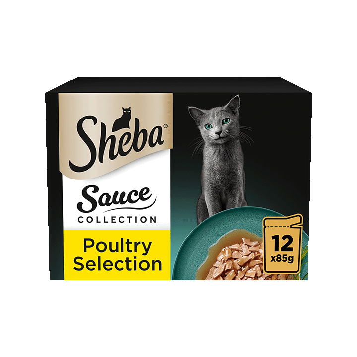 Sauce Collection - Poultry Selection 12x85g