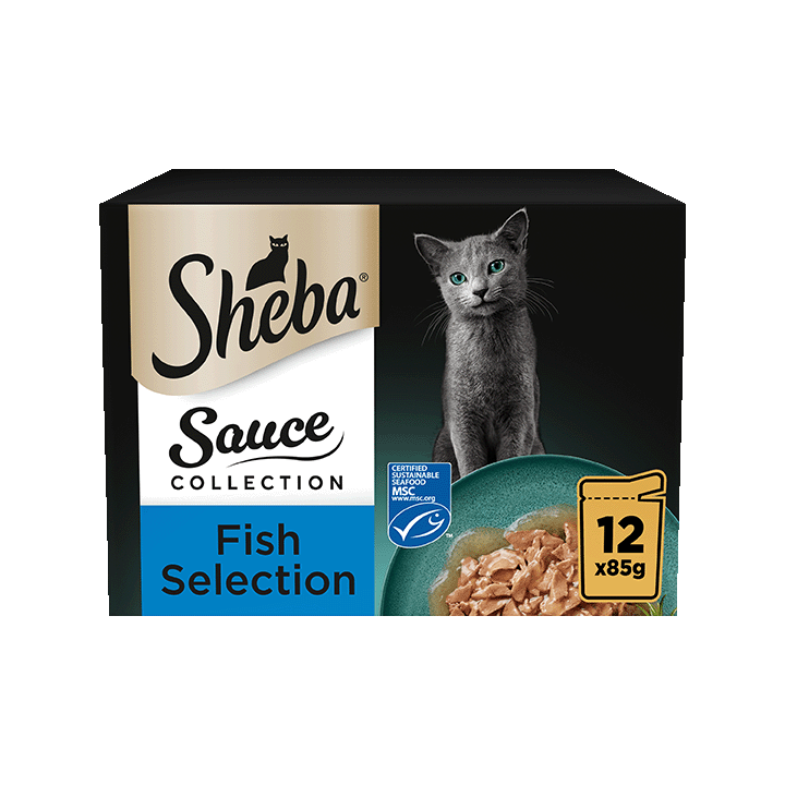 Sauce Collection - Fish Selection 12x85g