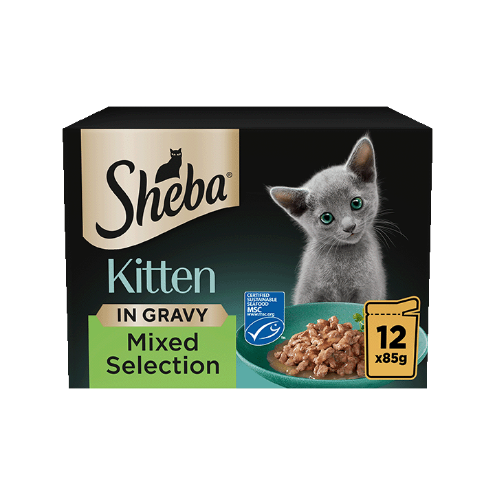 Kitten - Mixed Selection in Gravy 12x85g