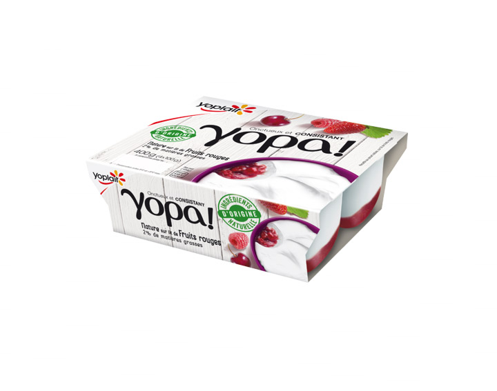 Yopa! Nature sur lit de Fruits Rouges 100gx4
