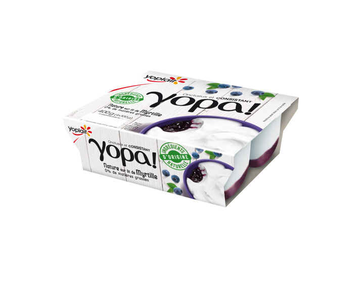 Yopa! Nature sur lit de Myrtille 100gx4