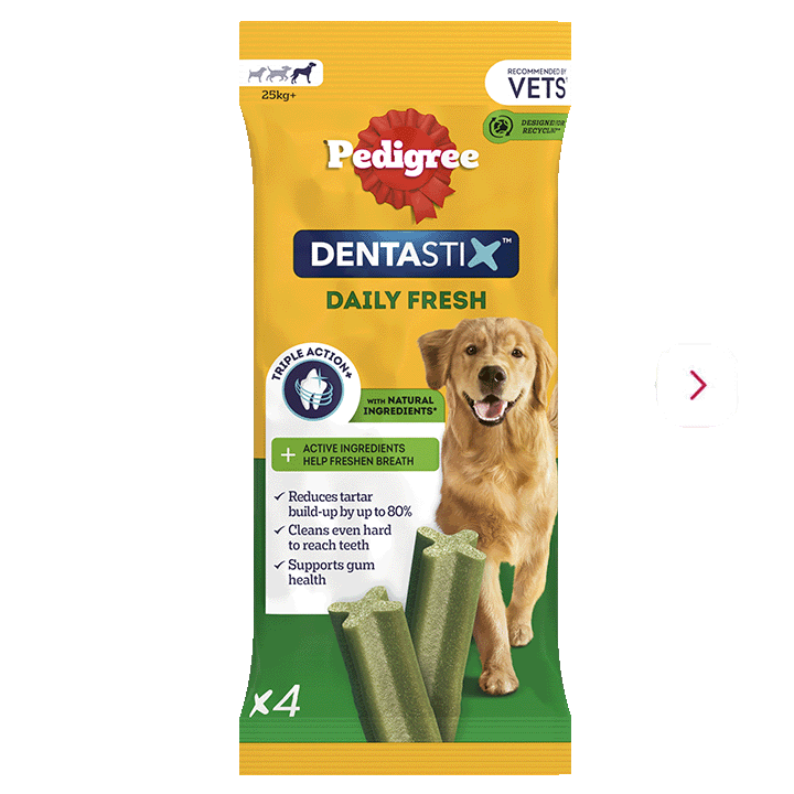 Daily Fresh Large Dog Treats - 4 DENTASTIX™ chews