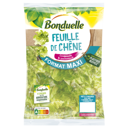 Feuille de Chêne verte Bonduelle 175g