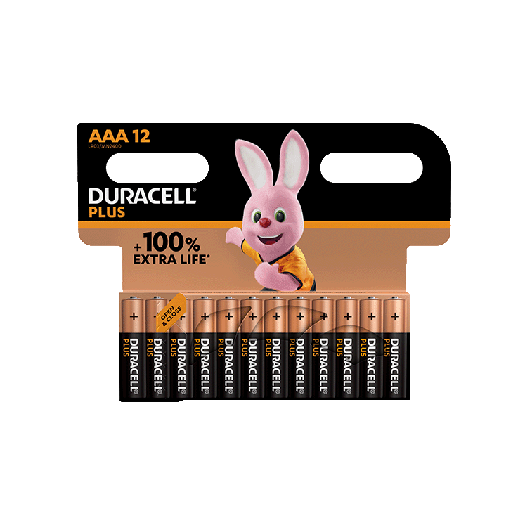 Duracell Plus 100%  AAA X12