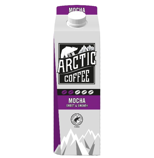 Arctic Iced Coffee Mocha 1L