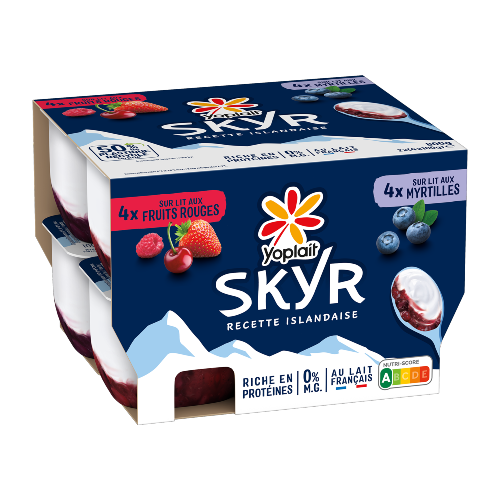 Yoplait Skyr Panaché 100g x8