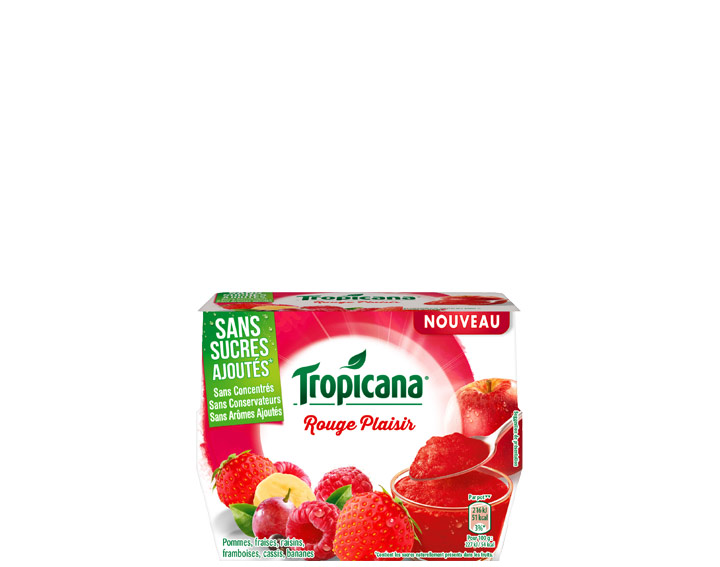 Desserts de fruits Rouge Plaisir 4x95g