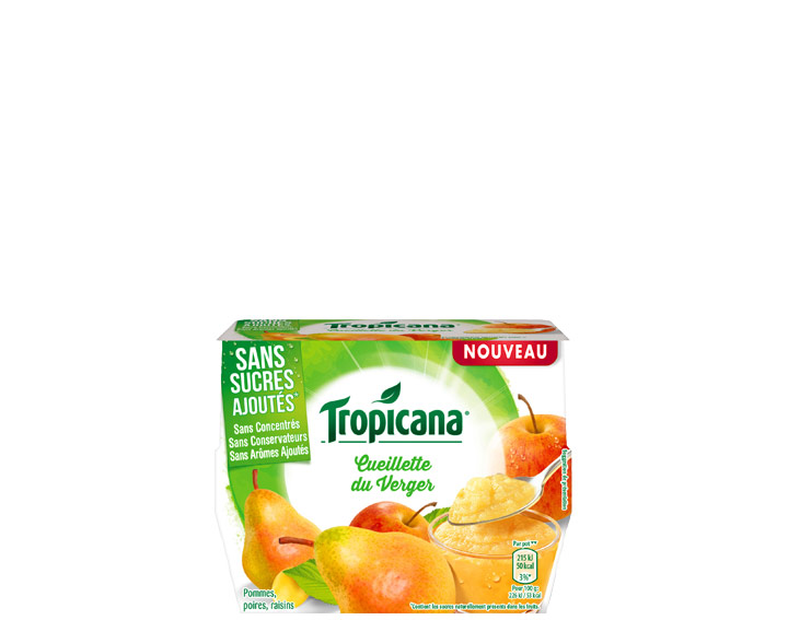 Desserts de fruits Cueillette du Verger 4x95g