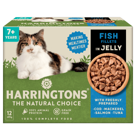 Harringtons Senior Fish in Jelly 12x85g
