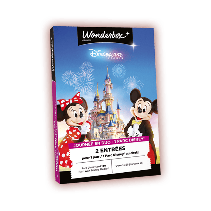 5 Coffrets Disneyland Paris en duo