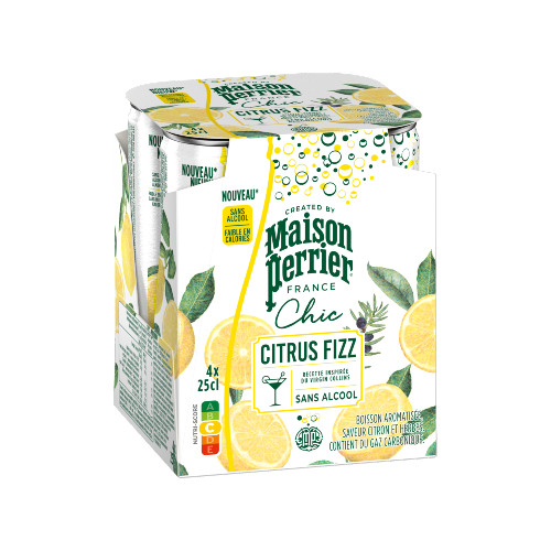 Citrus Fizz Pack 4x25CL