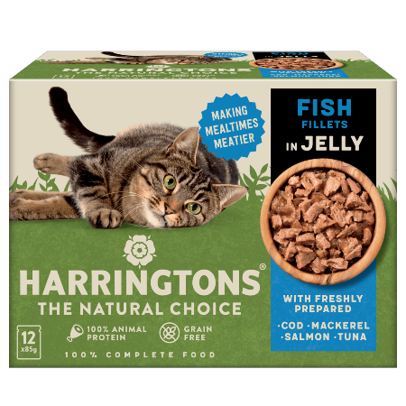 Harringtons Cat Food Fish in Jelly 12x85g