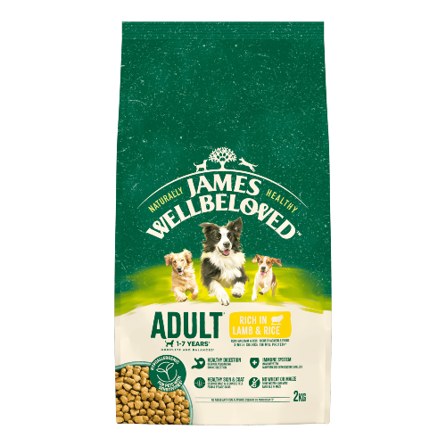 Adult Lamb & Rice 2kg