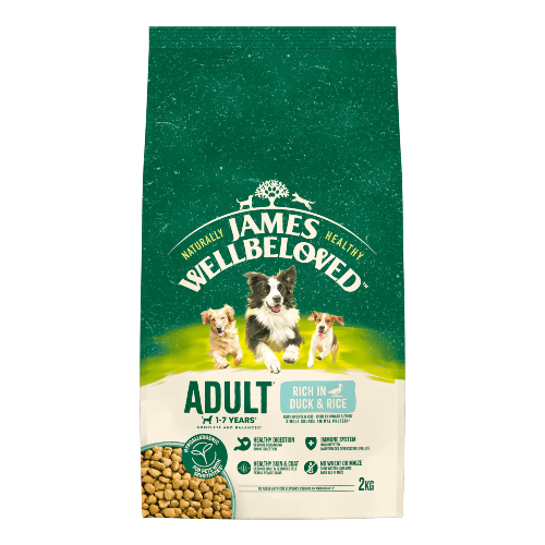 Adult Duck & Rice 2kg