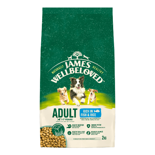 Adult Fish & Rice 2kg