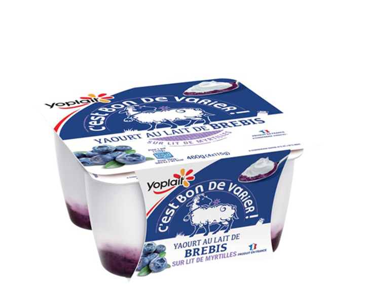 Yaourt au lait de brebis sur lit de Myrtilles