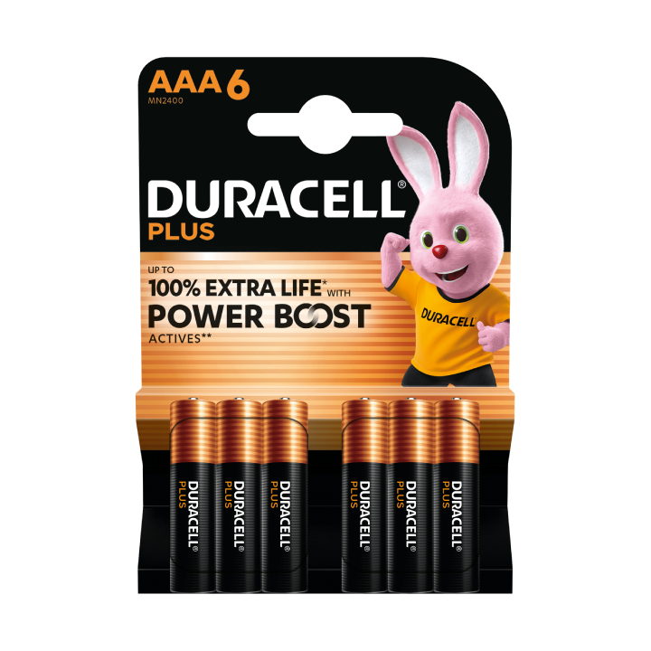 Duracell Plus AAA X6