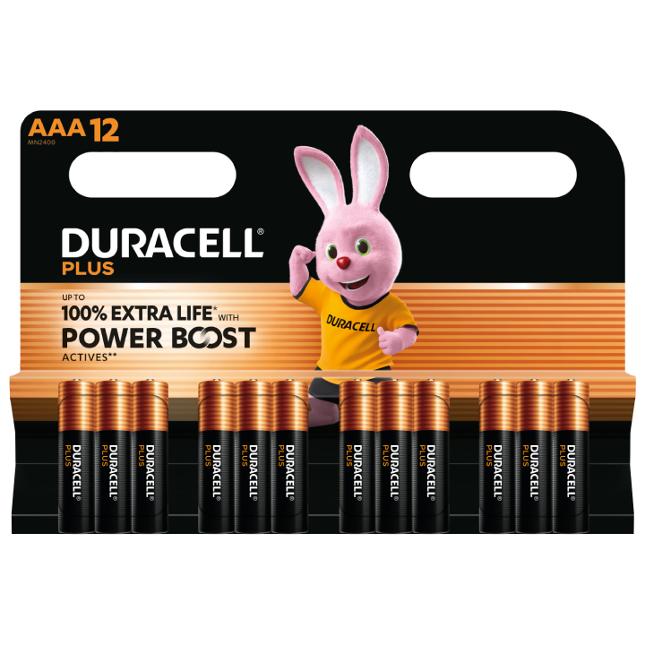 Duracell Plus AAA X12