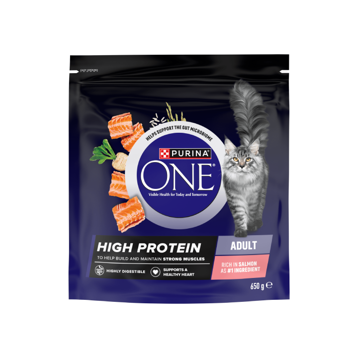 Purina ONE Salmon High Protein 650g