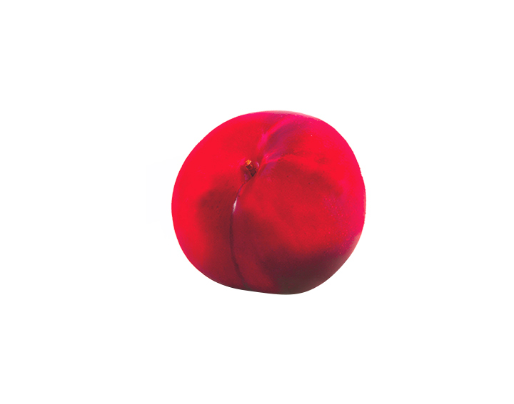 ESTIVA® Ruby Crunch
