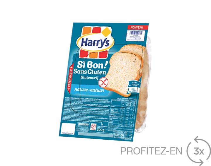 Pain de Mie Si Bon! Sans Gluten Nature
