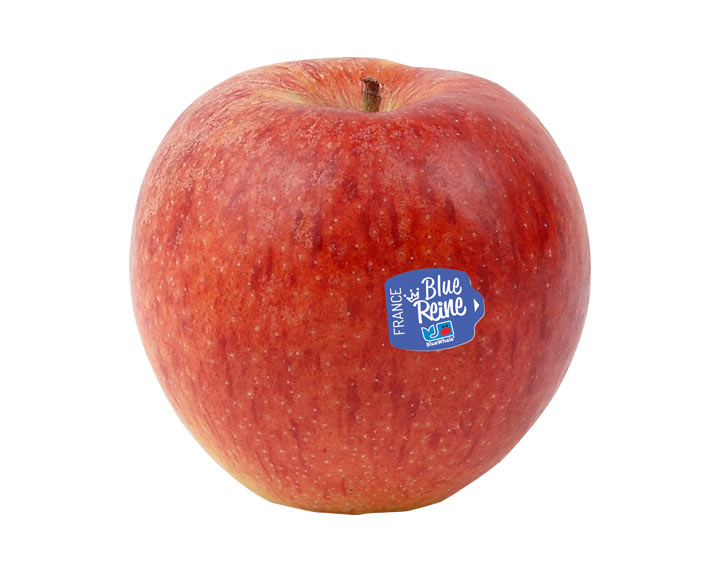 Pommes Blue Reine