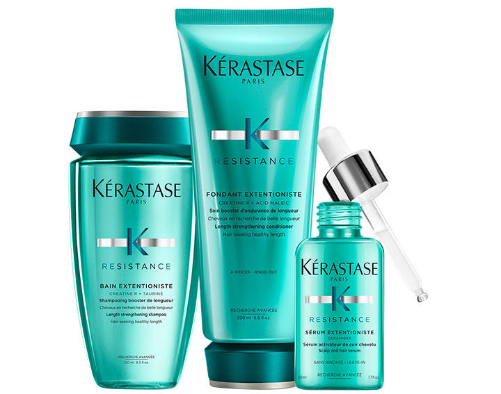 Gamme Extentioniste