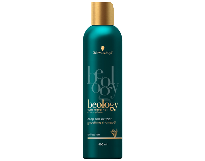 Shampooing Lissant 400ml