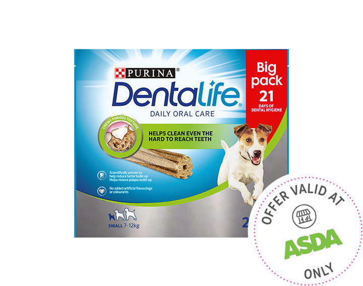 Small Dog Dental Chew 345g