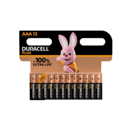 Duracell Plus 100%  AAA X12