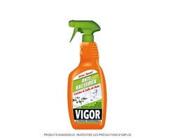 Vigor Anti-bactérien