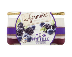 Les yaourts onctueux sur lit aux fruits