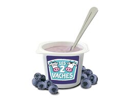 Yaourt bio Les 2 Vaches aux myrtilles sauvages