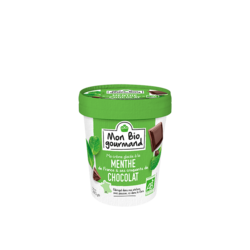 Crème glacée BIO Menthe de France & Chocolat