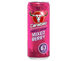 Mixed Berry 330ml
