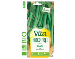 Haricot maxi bio Vita de Vilmorin