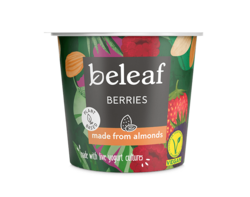 Berries Yogurt Alternative 120g
