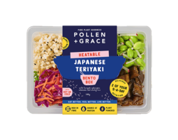 Japanese Teriyaki Bento Box 300g