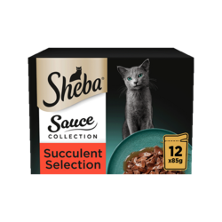 Sauce Collection - Succulent selection 12x85g