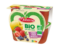 Pomme Fraise Myrtille Bio 4x100g