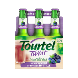 Tourtel Twist Mûre Myrtille 6x27,5cl