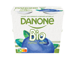 Volle bio yoghurt met bosbes 4x115g