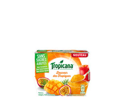 Desserts de fruits Douceur des Tropiques 4x95g