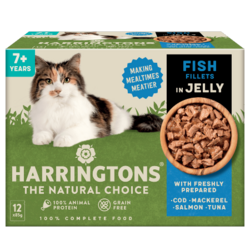 Harringtons Senior Fish in Jelly 12x85g